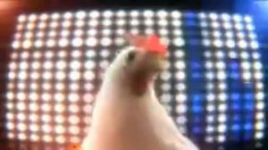 рэп курица!