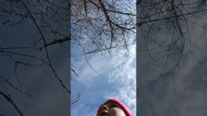 Гуляю рядом с речкой