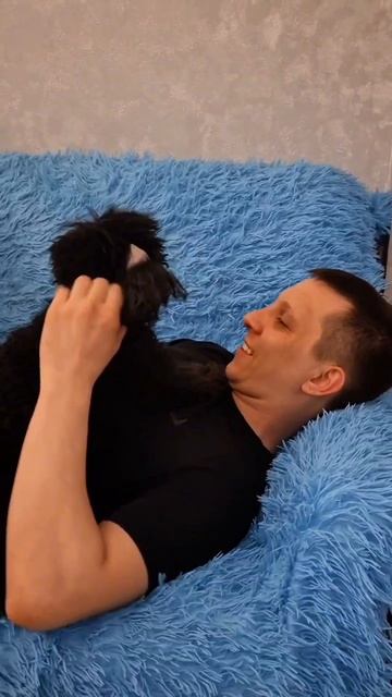 вечерний донос🤣дома появился стукач🤨