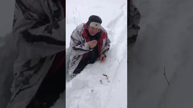 охота на лося. https://t.me/WeMineBot/mine?startapp=ref_26WIUBYJOM смотреть онлайн