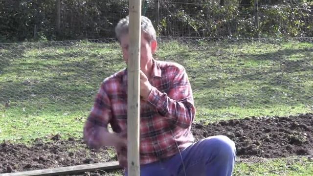 WIRE FRAME SUPPORT FOR FRUIT GROWING смотреть онлайн
