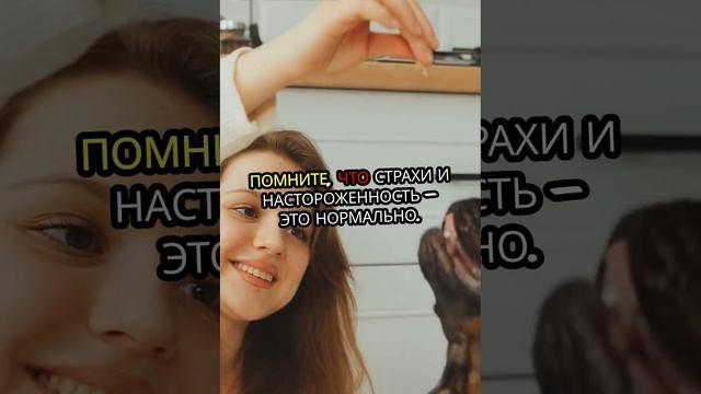 Как познакомить кошку с новорожденным_