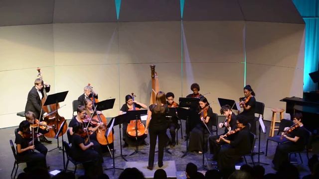 NWSA Chamber Orchestra - Reflexions 3/1/16 смотреть онлайн