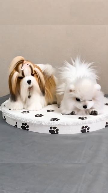 Оживила свои игрушки с помощью ИИ)