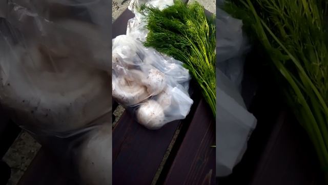 укроп шампиньоны болгарские июнь 24 2021(1) смотреть онлайн