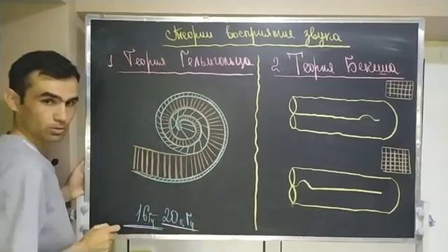 СЛУХОВОЙ И ВЕСТИБУЛЯРНЫЙ АНАЛИЗАТОР смотреть онлайн