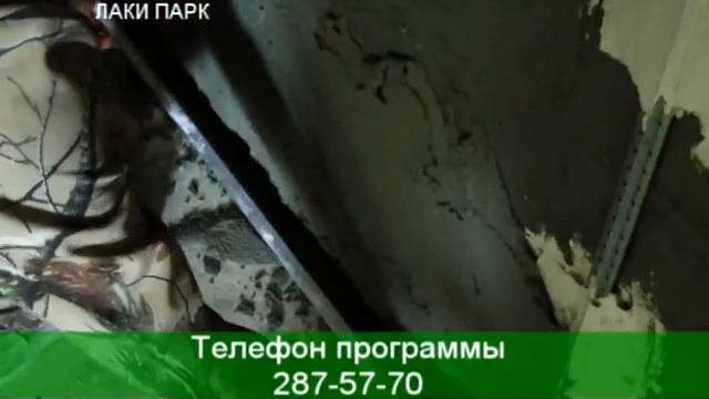 32 Выпуск Стройка Битва за миллион смотреть онлайн