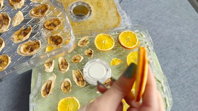 Обзор дегидратора сушилки Kitfort