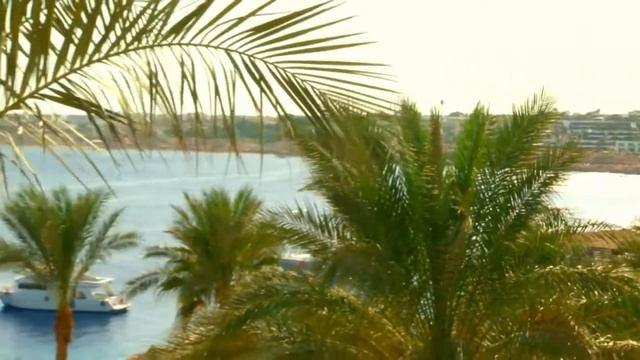 Dessole Royal Rojana Resort 5 Египет Шарм Эль Шейх смотреть онлайн