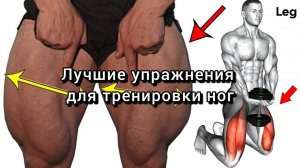 Лучшие упражнения для тренировки ног.