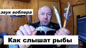 Звук воблера для судака и щуки.