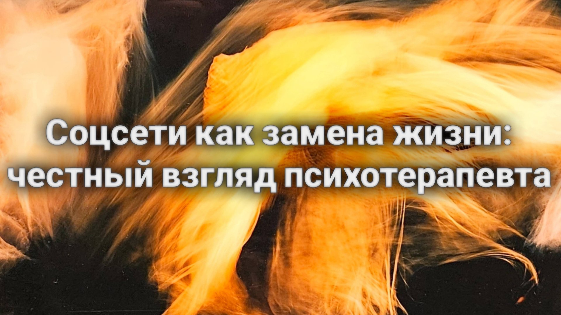 Соцсети как замена жизни: честный взгляд психотерапевта.