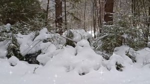 ПРЕКРАСНАЯ ПЕСНЯ О ЗИМЕ! ТЫ, МЕТЕЛЬ МОЯ БЕЛАЯ!