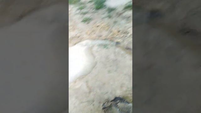 Эксперимент номер один на моём канале смотреть онлайн