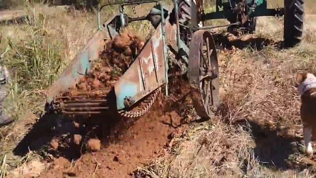 Sweet Potato Digging 2019 смотреть онлайн