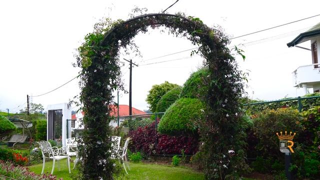 Rosedale Bungalow - Promo Video смотреть онлайн