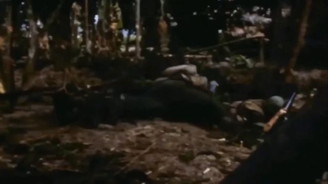 Vietnam War | The Rolling Stones - Paint it Black смотреть онлайн