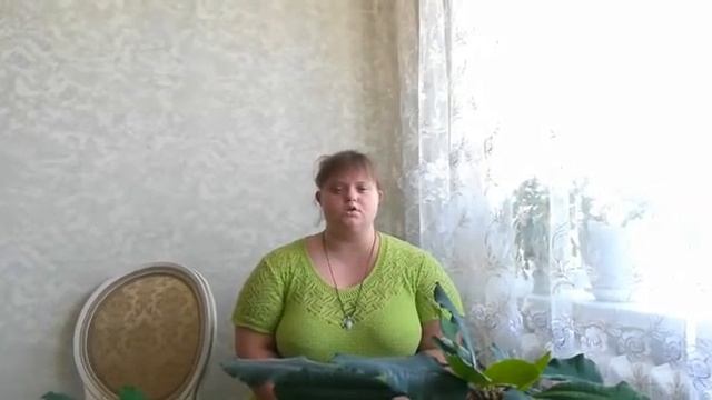 Стихотворение В. Семернин 1418 дней смотреть онлайн