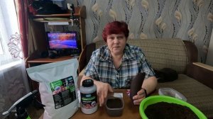 Тонкости посева астры для украшения вашего осеннего сада!!