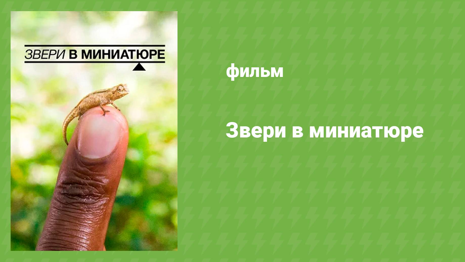Звери в миниатюре (документальный фильм, 2017)