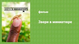 Звери в миниатюре (документальный фильм, 2017)
