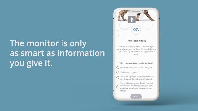 Smart Litter Box Monitor FAQ | Troubleshooting Your Cat’s Data in the Petivity App смотреть онлайн