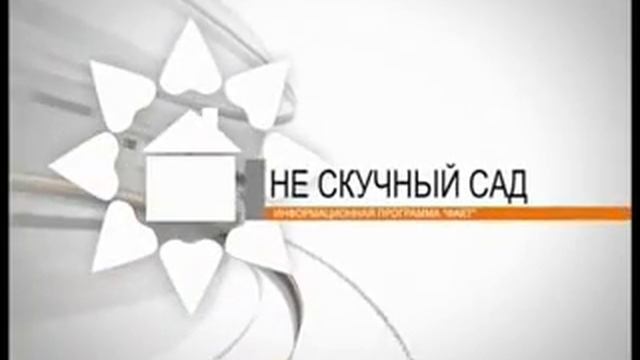 Сетка вещания смотреть онлайн