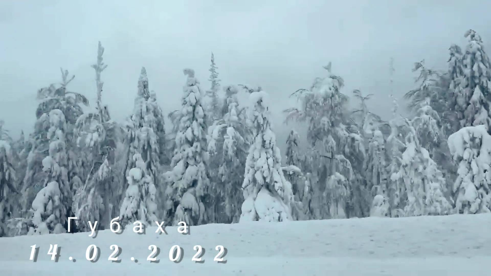 Губаха. 14.02.2022 смотреть онлайн