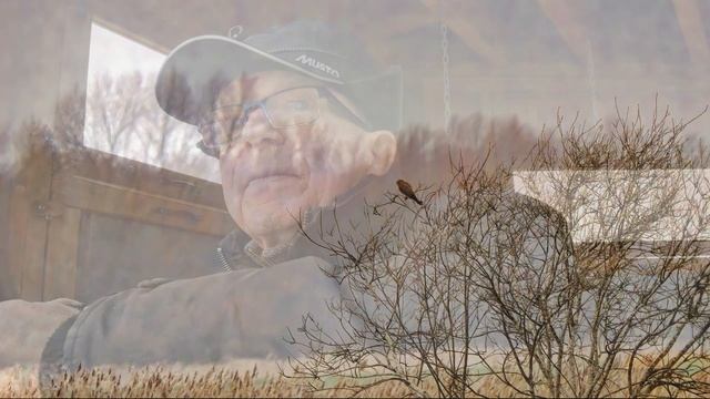 Wildlife photography using OM 1 plus the Panasonic Leica 100 x 400 Lens смотреть онлайн