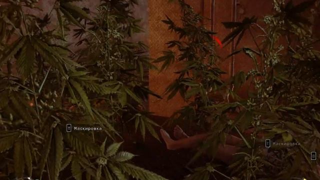 ПРОХОЖДЕНИЕ ХИТМАН 5 5 ЧАСТЬ смотреть онлайн