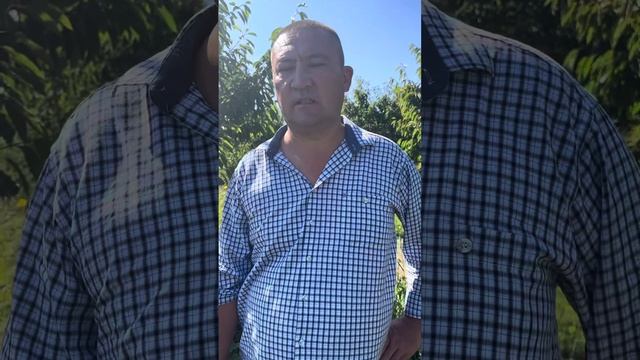 Ысыккол багбаны смотреть онлайн