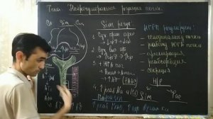 ОРГАНЫ ВЫДЕЛЕНИЯ РЕГУЛЯЦИЯ ПОЧКИ