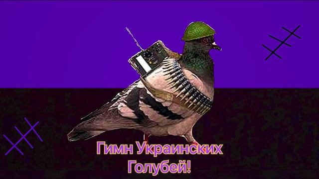 Гимн Голубей смотреть онлайн