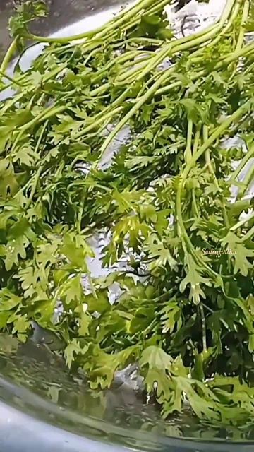 home made coriander,mint, curry leaves Powder going on process #sadiqfirthu смотреть онлайн