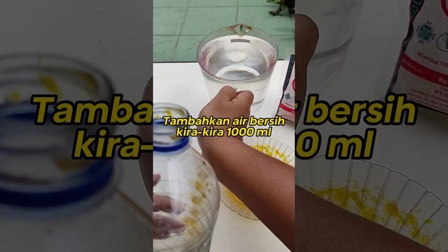 Membuat Pupuk Cair Ajaib | Bakteri PSB Fotosintesis смотреть онлайн