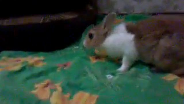 20131117 193848 смотреть онлайн