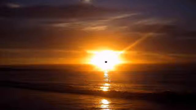 Al Alba de Silvia Savall Pelegrí смотреть онлайн