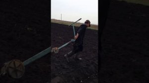 Посадка картофеля электролебедкой