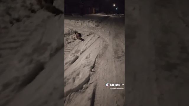 Тихий Вечер❄️❄️❄️❄️ смотреть онлайн