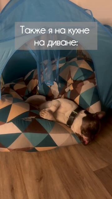 Это не обман, это случайно😁