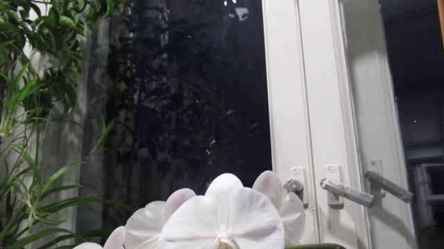 Ветры... смотреть онлайн