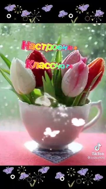 Доброе утро смотреть онлайн