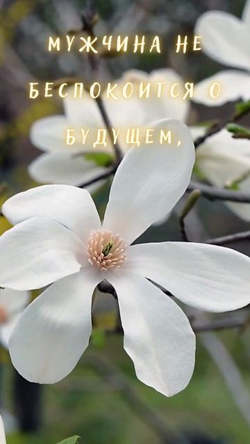 Мудрые мысли смотреть онлайн