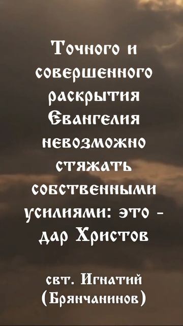 Цитата дня 31 января смотреть онлайн