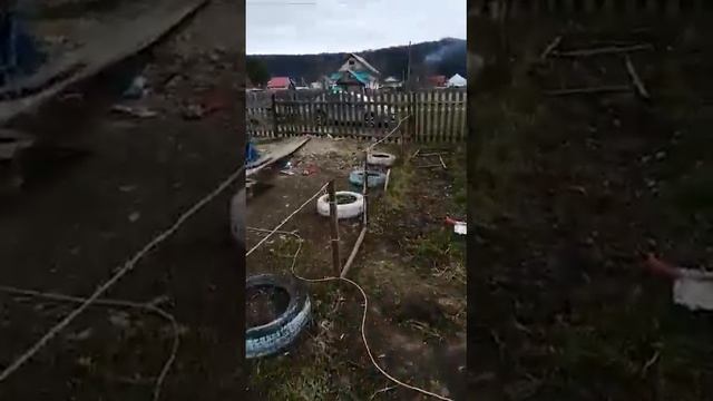 Сборка теплицы в домашних условиях смотреть онлайн