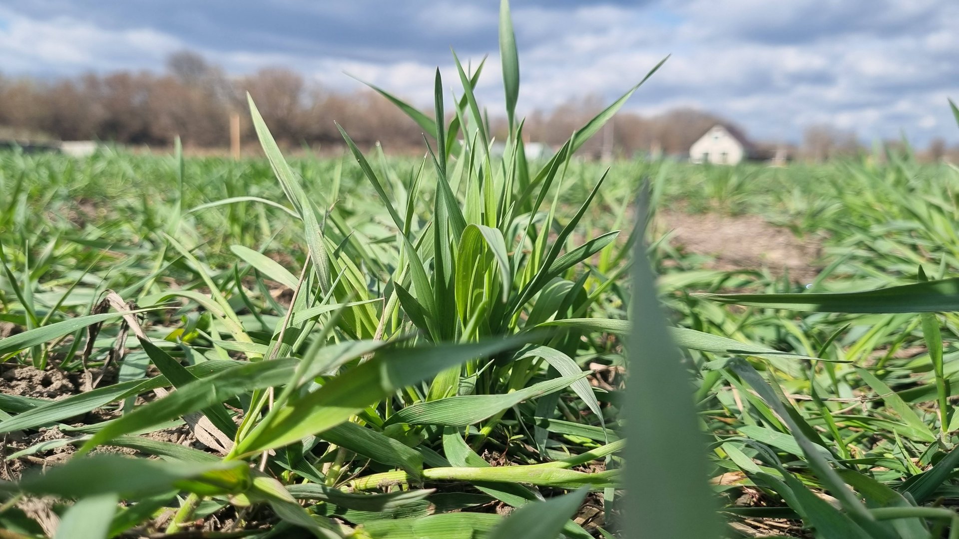Ижс участок смотреть онлайн