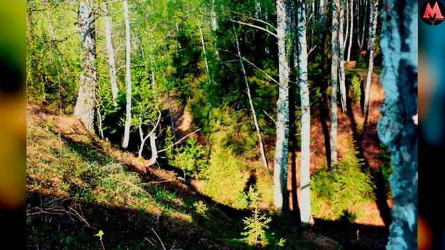 Одамлар Ёколиб Коладиган Россиянинг Энг Сирли Жойлари смотреть онлайн