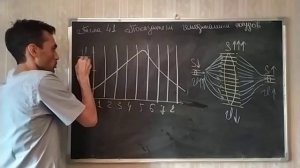 41 ПОКАЗАТЕЛИ ГЕМОДИНАМИКИ СОСУДОВ