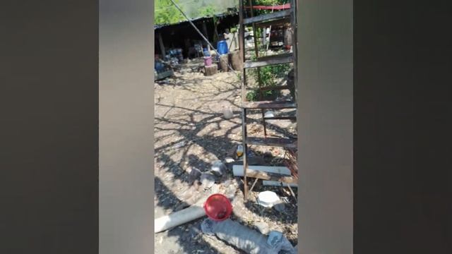 pitayas🌵gallinas🐔. смотреть онлайн