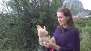 Два шага к счастью - Алексей и Ольга Валяевы